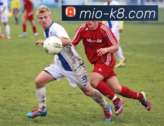 凯发娱乐全站App